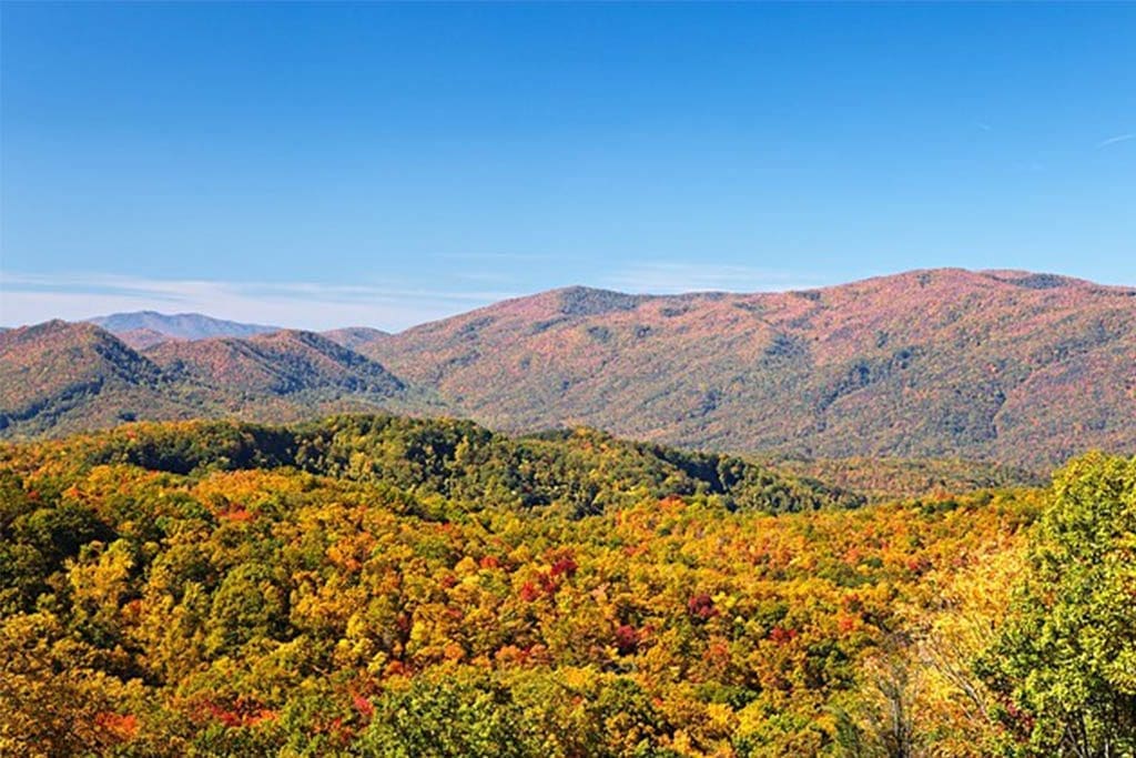 Where to View the Fall Colors in Pigeon Forge, Pigeon Forge fall foliage, Pigeon Forge fall colors