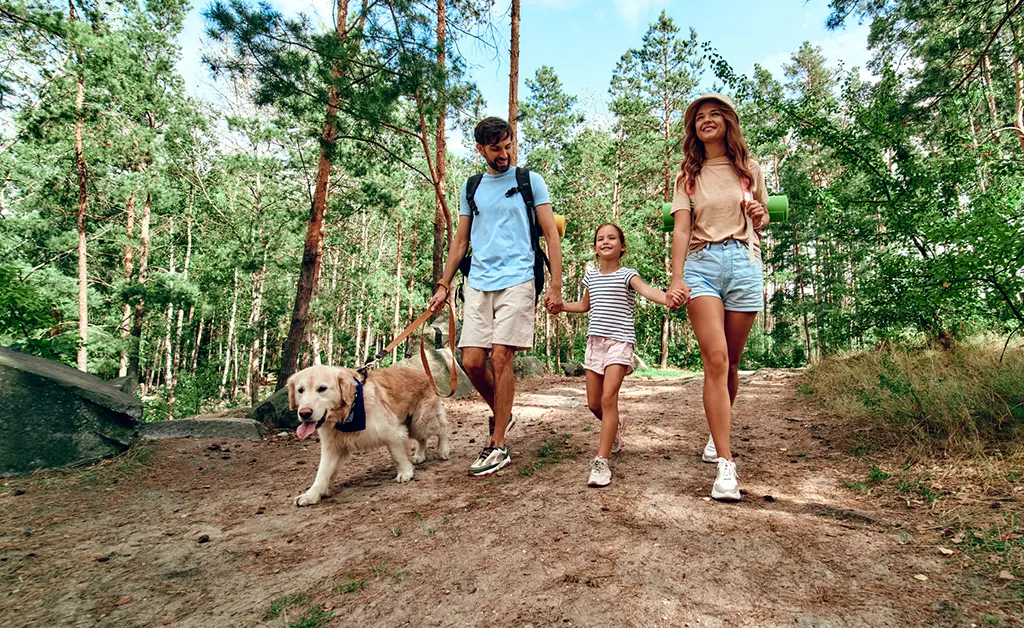 dog pet friendly vacation in tennessee smokies